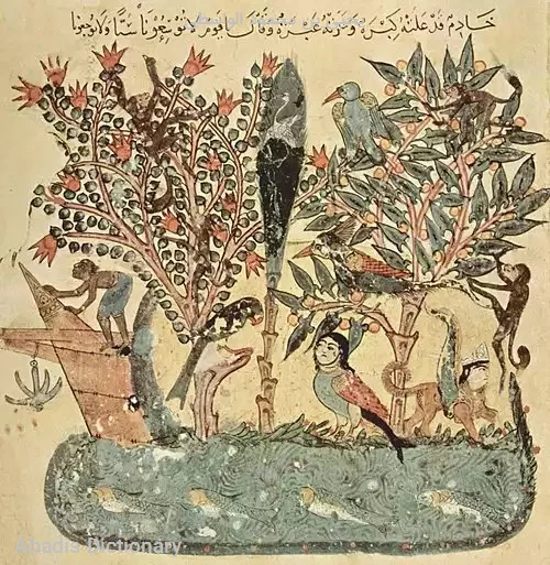 یحیی بن محمود الواسطی